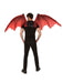 Red Devil Wings - costumesupercenter.com