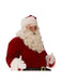 Premium Santa Adult Beard Wig Set - costumesupercenter.com
