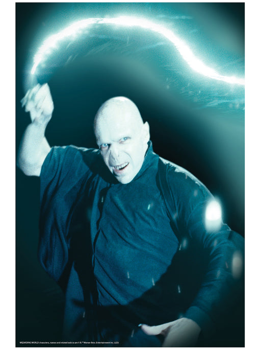 Harry Potter Voldemort Window Cover Decoration - costumesupercenter.com