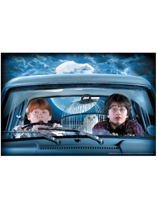 Harry Potter and Ron Weasley Window Cover Decoration - costumesupercenter.com