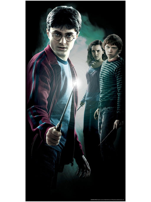 60-inch Harry Potter Front Door Cover Decoration - costumesupercenter.com
