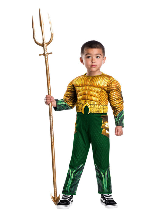 Baby/Toddler Justice League Aquaman Costume - costumesupercenter.com