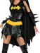 DC Comics Batgirl Adult Costume - costumesupercenter.com