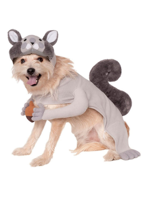 Pet Squirrel Costume - costumesupercenter.com