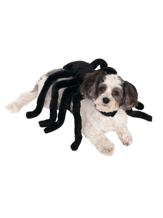 Pet Spider Harness Costume - costumesupercenter.com