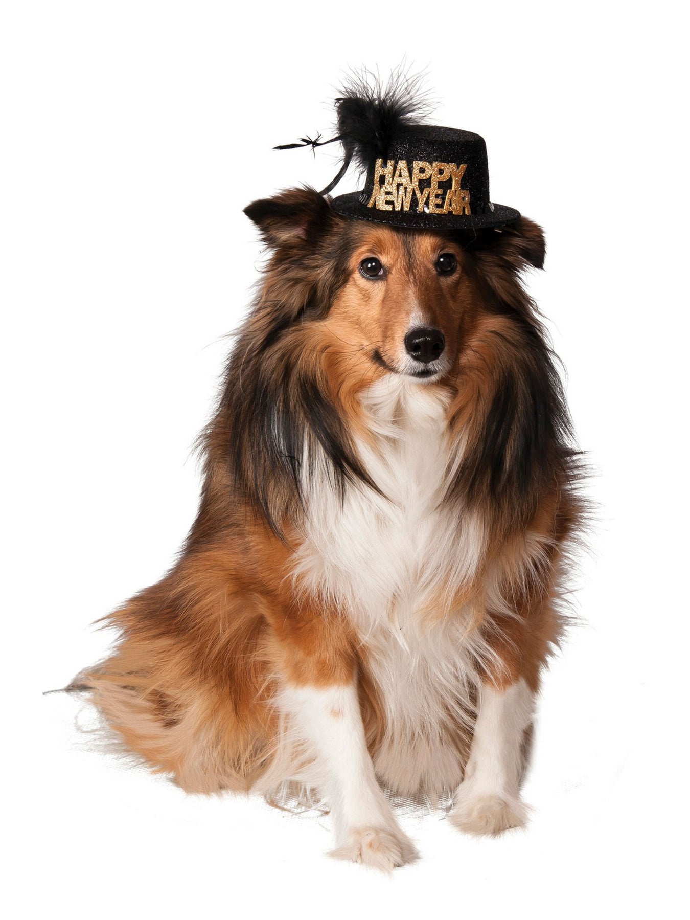 Pet New Year's Eve