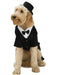 Top Hat for Pets - costumesupercenter.com