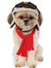 Aviator Hat/ Scarf Set Dog Pet Costume - costumesupercenter.com