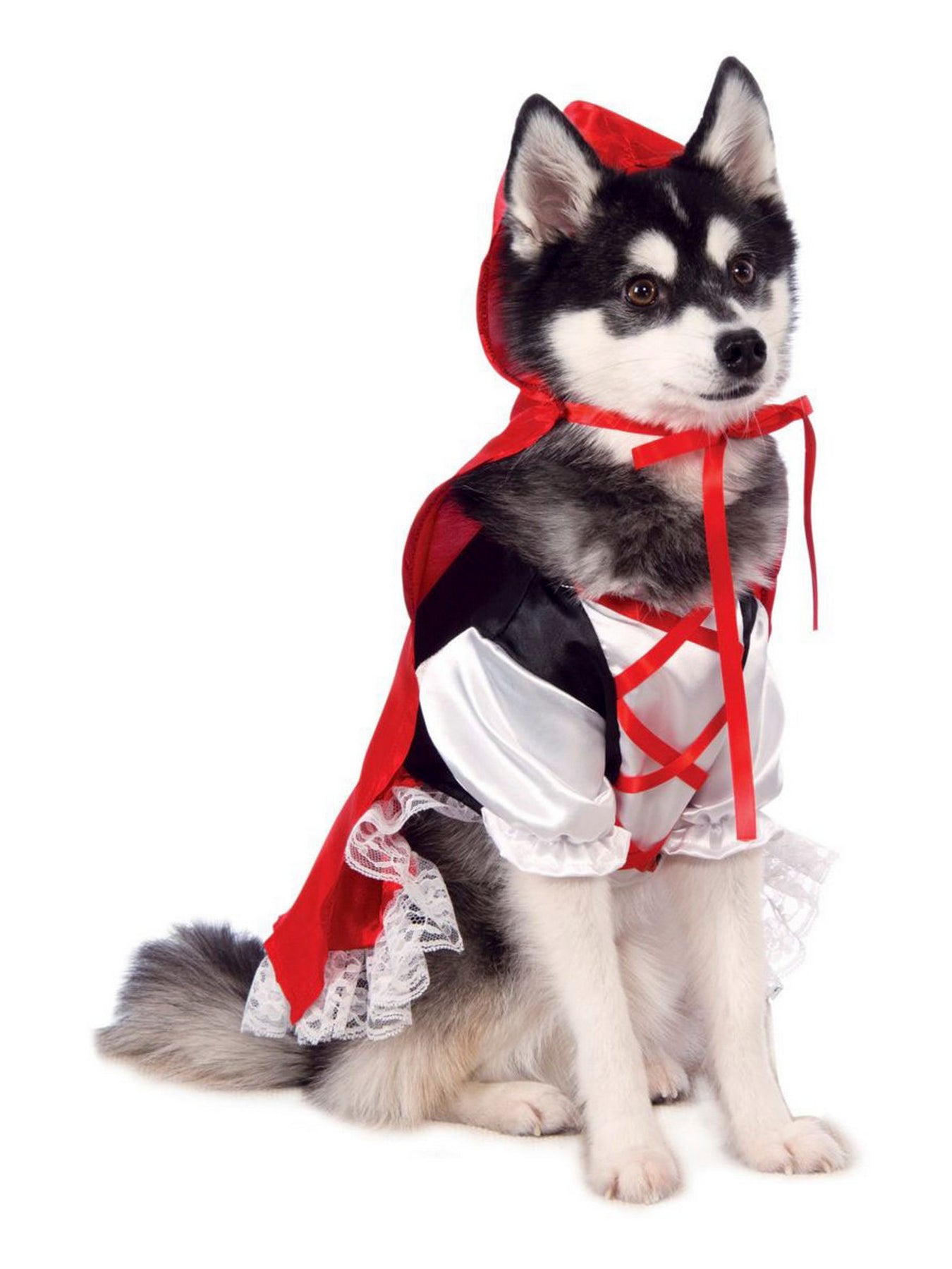 Pet Storybook & Fairytale