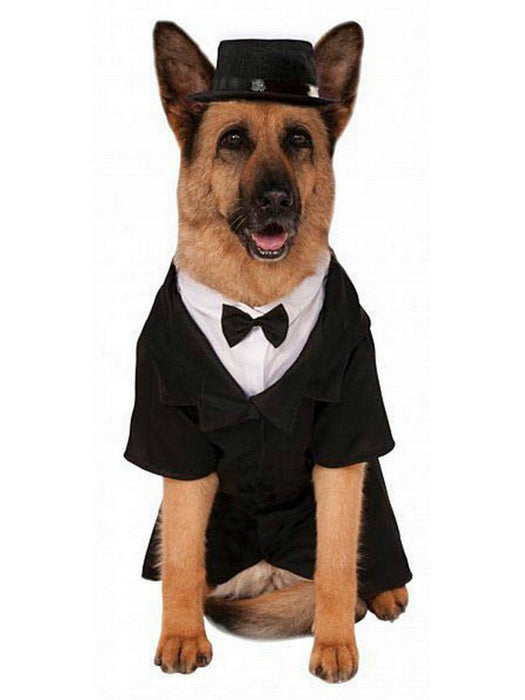 Big Dogs' Dapper Dog Halloween Pet Costume - costumesupercenter.com