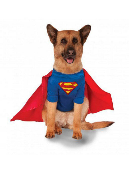 Big Dogs' Superman Pet Halloween Costume - costumesupercenter.com