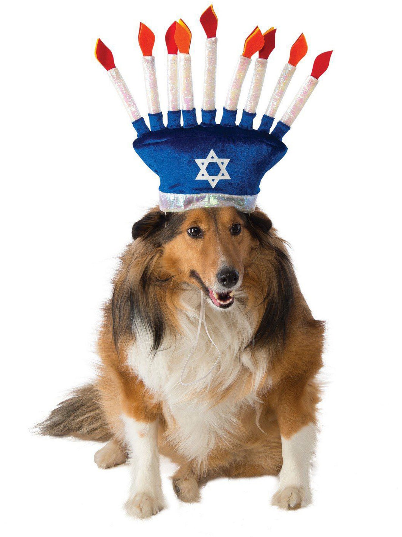 Pet Hanukkah Costumes