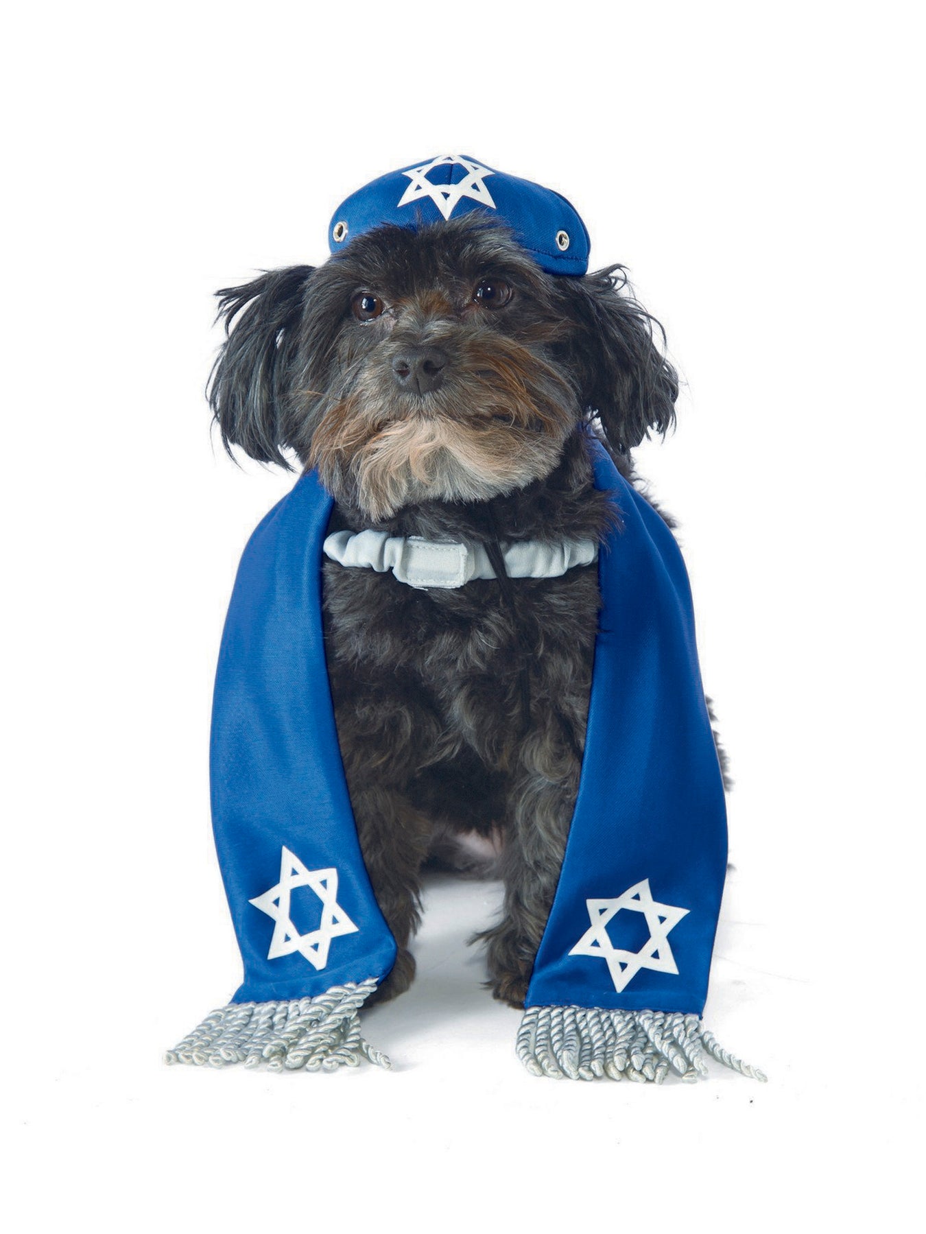 Pet Hanukkah Costumes