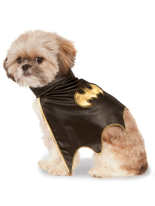 DC Comics Batgirl Cape Pet Costume - costumesupercenter.com