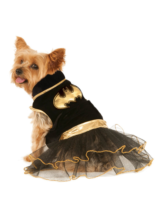 DC Comics Batgirl Tutu Pet Costume - costumesupercenter.com