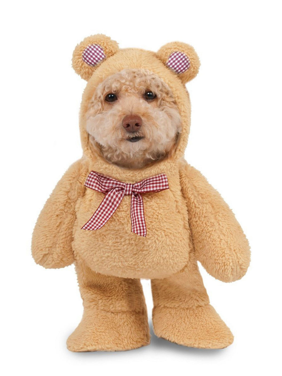 Walking Teddy Bear Pet Costume — Costume Super Center