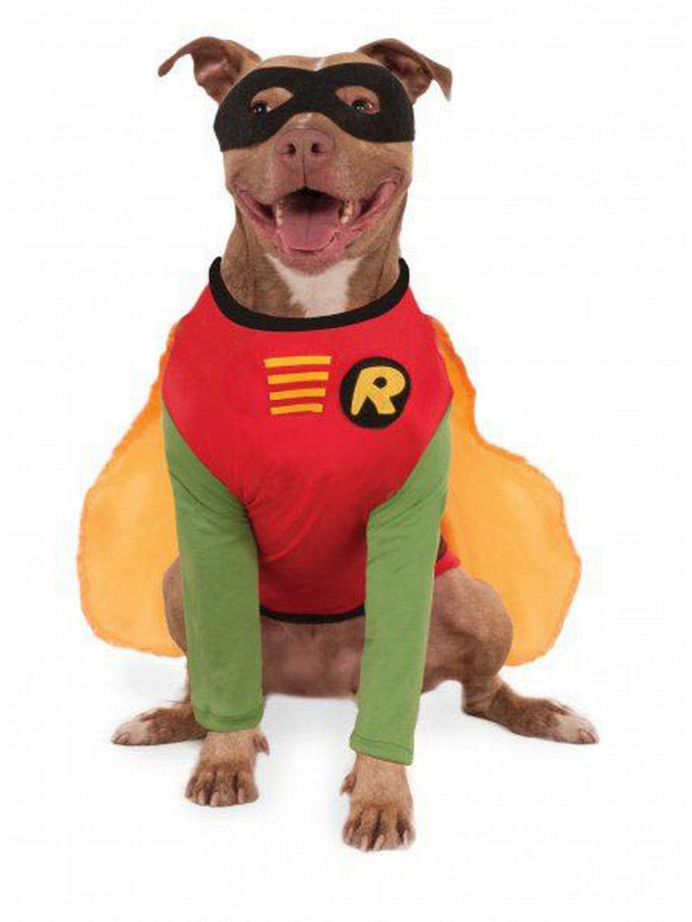 Robin Costumes