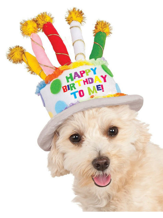 Birthday Cake Hat Dog Pet Costume - costumesupercenter.com