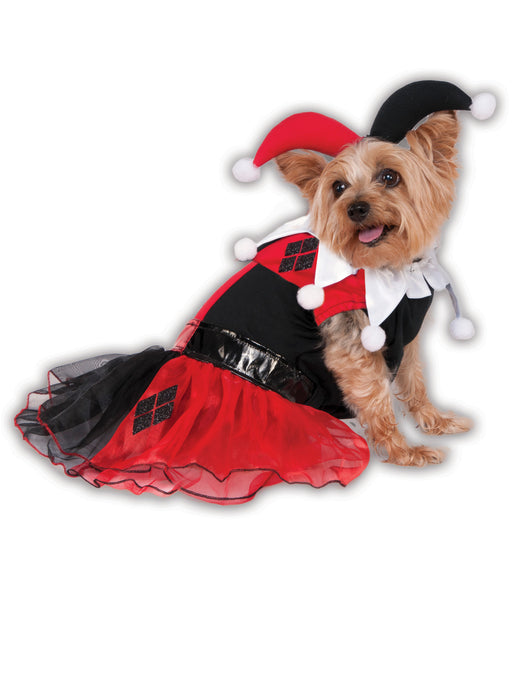 DC Comics Harley Quinn Pet Costume - costumesupercenter.com