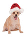 Red Sequin Santa Hat Accessory For Pets - costumesupercenter.com