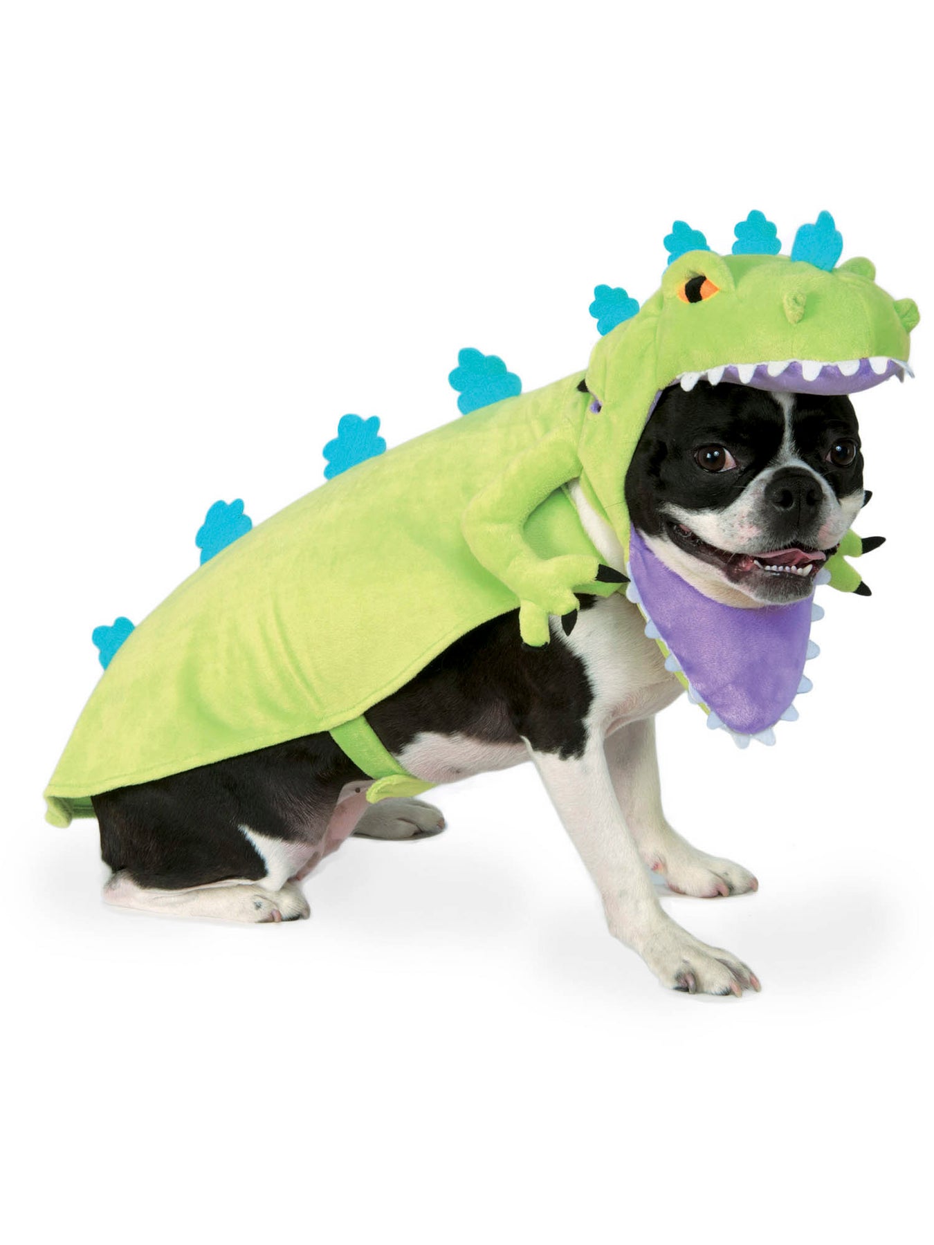 Pet Cartoons