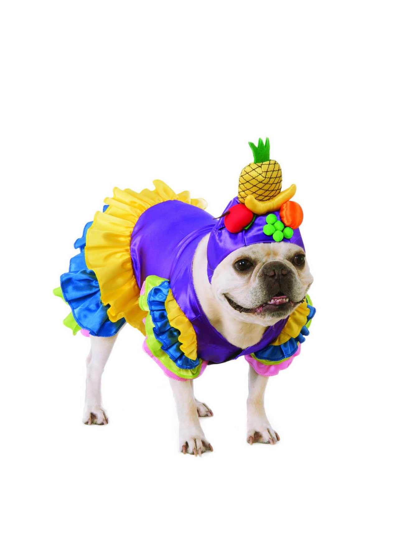 Pet Abroad