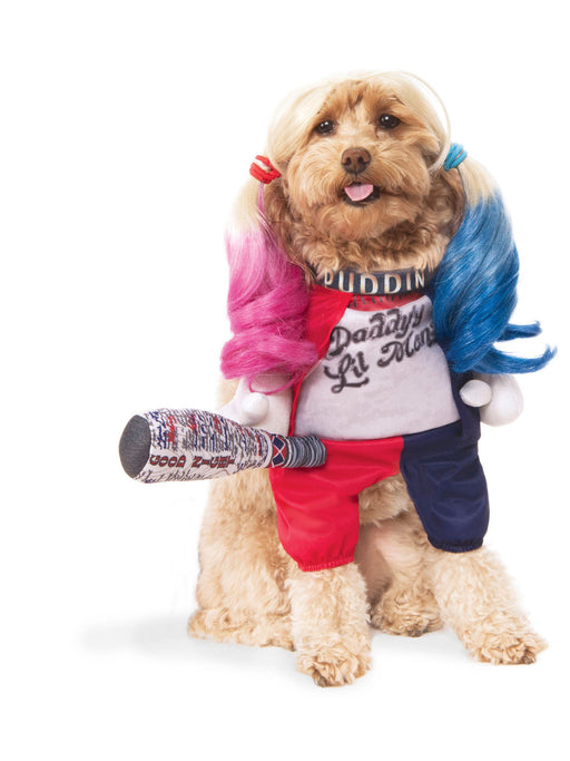 Suicide Squad Harley Quinn Pet Costume - costumesupercenter.com