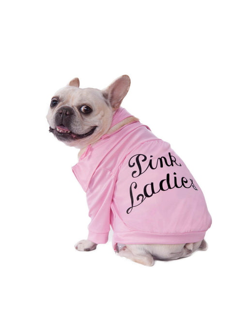 Pet Pink Ladies Jacket Costume - Grease - costumesupercenter.com