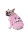 Pet Pink Ladies Jacket Costume - Grease - costumesupercenter.com