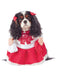 Grease Cheerleader Costume for Pets - costumesupercenter.com