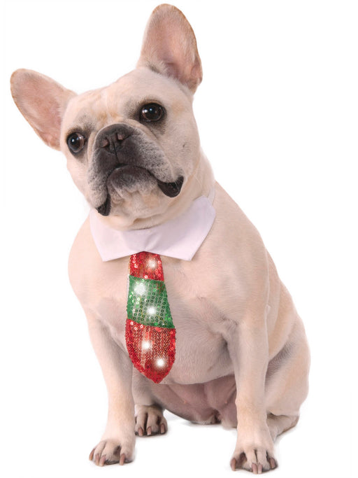 Light Up Holiday Pet Costume - costumesupercenter.com
