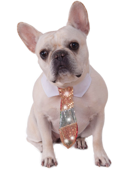 Light Up Holiday Pet Costume - costumesupercenter.com