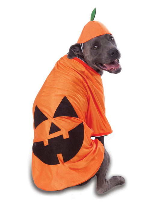 Big Dog - Pumpkin - Costume for Pets - costumesupercenter.com