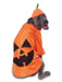 Big Dog - Pumpkin - Costume for Pets - costumesupercenter.com