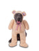 Big Dog - Teddy Bear - Walking Costume for Pets - costumesupercenter.com