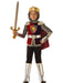 Knight Costume for Boys - costumesupercenter.com