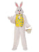 Easter Bunny Mascot Costume - costumesupercenter.com