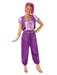Adult Deluxe Shimmer Costume - Shimmer & Shine - costumesupercenter.com