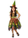 Light Up Fairy Witch Child Costume - costumesupercenter.com