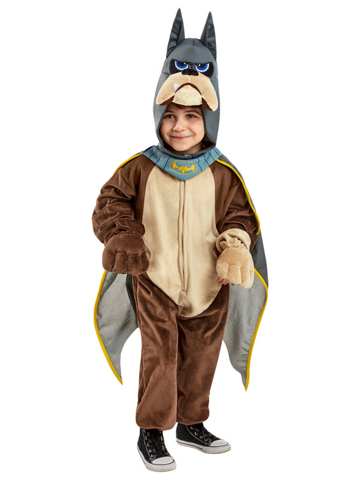 Toddler Comfywear DC League of Super Pets Ace Costume - costumesupercenter.com