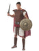 Roman Soldier Costume for Adult - costumesupercenter.com