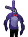 Five Nights at Freddy's Teen Bonnie Costume - costumesupercenter.com