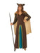 Viking Woman Costume - costumesupercenter.com