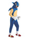 Mens Sonic the Hedgehog Costume - costumesupercenter.com