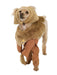 Cowardly Lion Costume for Pets - costumesupercenter.com