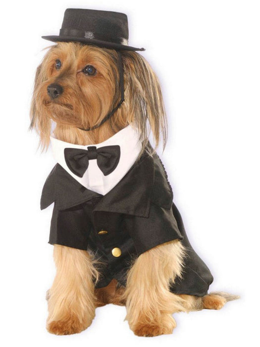 Dapper Dog Costume - costumesupercenter.com