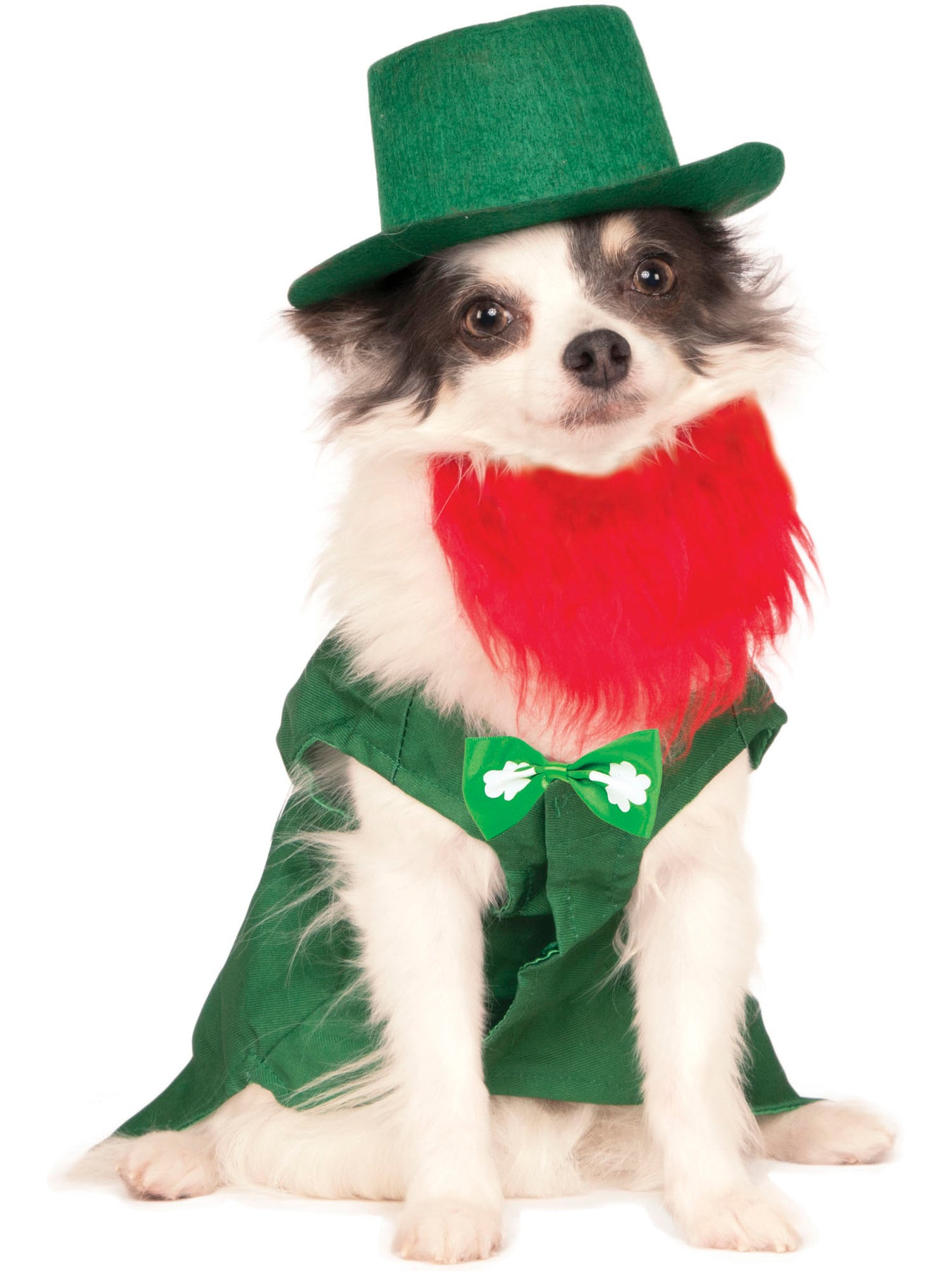 Pet St. Patrick's Day