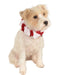 Xmas Scrunchie Collar Classic For Pets - costumesupercenter.com