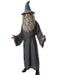 Mens The Hobbit Mens Gandalf Costume - costumesupercenter.com