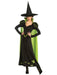 The Wizard of Oz Wicked Witch Adult Costume - costumesupercenter.com